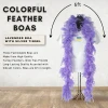 Plush Appeal, LLC 6' Lavender Boa With Silver Tinsel (Each) Party Supplies 1 Plush Appeal, LLC 6' Lavender Boa With Silver Tinsel (Each) Party Supplies