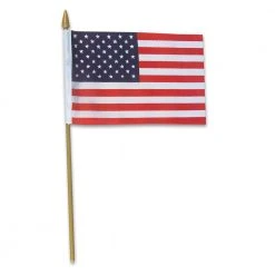 Plush Appeal, LLC 4" X 6" U.S. Flag - Polyester (Dozen)