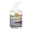 Plush Appeal, LLC Gifts & Apparel Michel Design Works Banks Of The Seine At Argenteuil Foaming Soap (Each) 2 Plush Appeal, LLC Gifts & Apparel Michel Design Works Banks Of The Seine At Argenteuil Foaming Soap (Each)