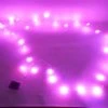 Mardi Gras Spot Light-Ups LED Pink Battery Pack Lights - 9' Long