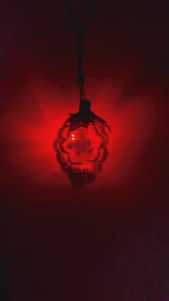 - No Manufacturer - LED Rubber Grape Necklace (Dozen) Light-Ups