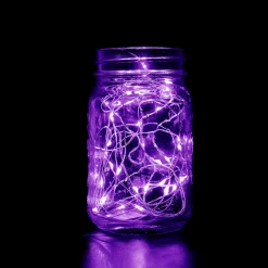 - No Manufacturer - 6' Purple LED Battery Operated Fairy Lights (Each)
