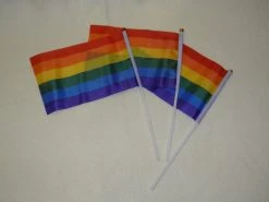 Mardi Gras Spot Novelties Rainbow Flag 5.5" X 8" (Dozen)