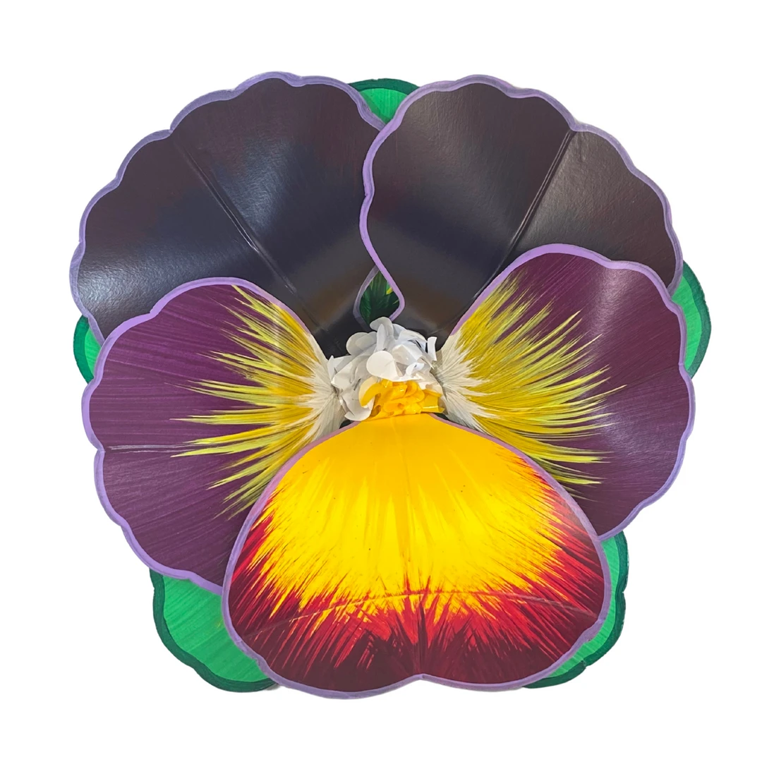 Mardi Gras Spot Party Supplies 21" Orpheus 2022 Pansy Signature Flower (Each) 3 Mardi Gras Spot Party Supplies 21" Orpheus 2022 Pansy Signature Flower (Each)