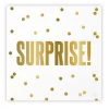 Plush Appeal, LLC Party Supplies SURPRISE Napkins - 5" X 5" (20 Count) 1 Plush Appeal, LLC Party Supplies SURPRISE Napkins - 5" X 5" (20 Count)