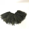 Plush Appeal, LLC Black With Gold Glitter 72 Panel Tutu (Each) Garters & Tutus 1 Plush Appeal, LLC Black With Gold Glitter 72 Panel Tutu (Each) Garters & Tutus
