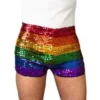 - No Manufacturer - Rainbow Sequin Shorts (L/XL) Gifts & Apparel 1 - No Manufacturer - Rainbow Sequin Shorts (L/XL) Gifts & Apparel